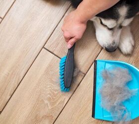 3 Cleaning Hacks Every Pet Owner Should Know