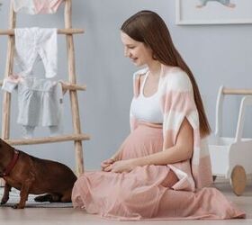 how to baby proof your dog before bringing home a newborn