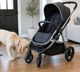 how to baby proof your dog before bringing home a newborn