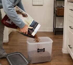 is your pet food bin toxic 5 tips to keep pet food safe