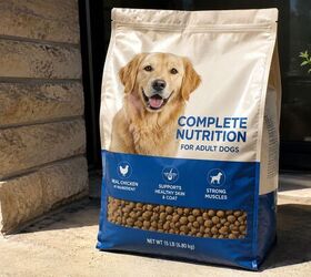 is your pet food bin toxic 5 tips to keep pet food safe