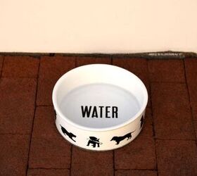 is your pet food bin toxic 5 tips to keep pet food safe, Image via Canva