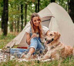 How to Enjoy a Comfortable Camping Trip with Your Dog