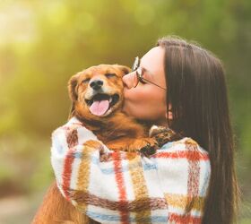 survey finds people consider pets their soulmates, Kulkova Daria Shutterstock