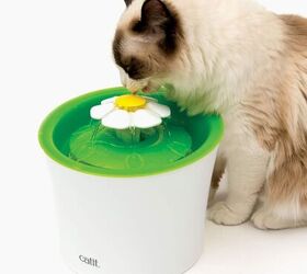 5 surprising reasons your cat isn t drinking from the water bowl, Catit Flower Fountain with Triple Action Filter Cat Drinking Water Fountain Image via Amazon