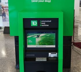 Canada's TD Bank Offers Withdrawal Perks for Dogs