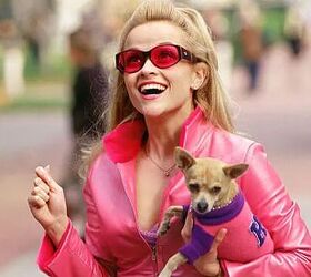 10 unforgettable live action dogs from the 2000s onward, Image Yahoo Entertainment