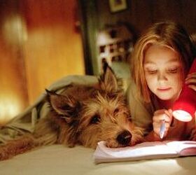 10 unforgettable live action dogs from the 2000s onward, Image IMDB