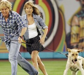 10 unforgettable live action dogs from the 2000s onward, Image MLB
