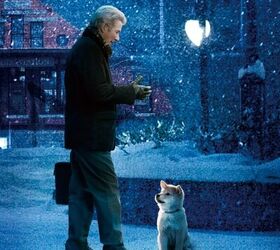 10 unforgettable live action dogs from the 2000s onward, Image Spoiler Town