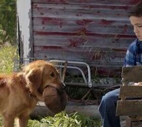 10 unforgettable live action dogs from the 2000s onward, Image Film Matters Magazine