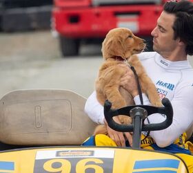 10 unforgettable live action dogs from the 2000s onward, Image The Seattle Times