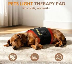 can red light therapy really help your pets live longer, Red Light Therapy for Dogs image via Amazon