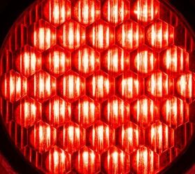 can red light therapy really help your pets live longer
