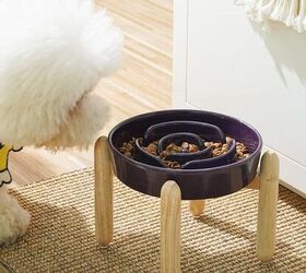 a practical guide to dogs with sensitive stomachs, LE TAUCI Ceramic Slow Feed Dog Bowls Image via Amazon