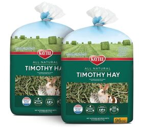 new bunny heres everything you need before bringing them home, Kaytee Timothy Hay image via Amazon