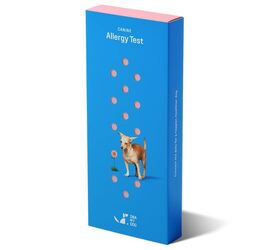 Does Your Dog Have Allergies? Here's How To Find Out At Home