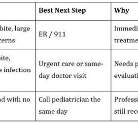 what to do right after a dog bites your child