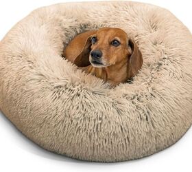 5 weird dog behaviors that are actually totally normal, Calming Donut Dog Bed image via Amazon