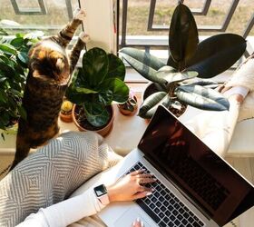 3 sneaky ways cats seek your attention