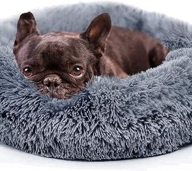 Living with a Tiny Dog? Here's How to Snuggle Up Safely