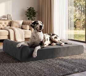 5 comfy dog beds your pup will love, Orthopedic Dog Bed for Large Dogs image via Amazon