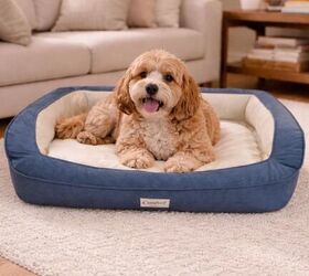 5 comfy dog beds your pup will love, Blue Dog Bed with Bolster Sides image via Amazon