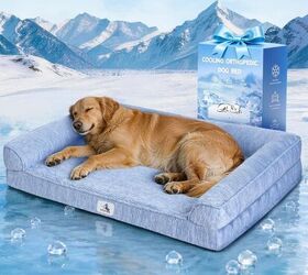 5 comfy dog beds your pup will love, Cooling Dog Bed image via Amazon