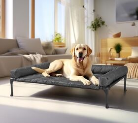 5 comfy dog beds your pup will love, Veehoo Outdoor Elevated Dog Bed image via Amazon