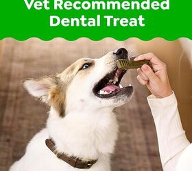 Greenies Regular Dental Dog Treats -Image via Amazon