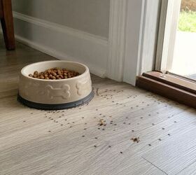 how to choose the best spot for your pets food bowls