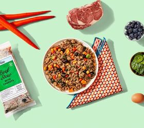 how the pets table s fresh dog food supports healthy digestion