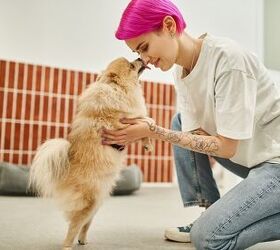Petwealth & Kennel Connection Unite After Strong Response at SUPERZOO