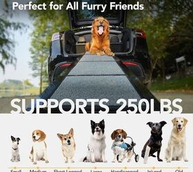 how to welcome your adopted senior dog 7 must have essentials, Dog Ramp for Cars 71 L 17 2 W Image via Amazon