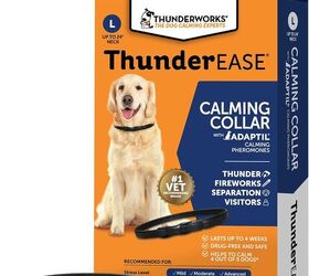 moving to a new home heres how to keep your dog stress free