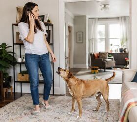 5 common ways your dog tries to get your attention