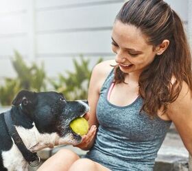 5 common ways your dog tries to get your attention, Image via Canva