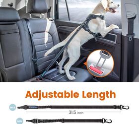 9 things dog owners should always keep in the car, IOKHEIRA Dog Seatbelt Updated Adjustable Harness Image via Amazon