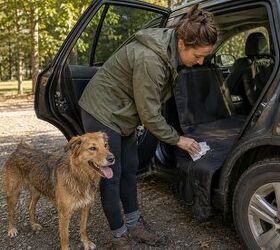 9 things dog owners should always keep in the car