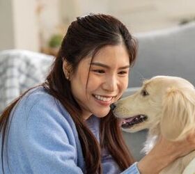Why You Should Start Blinking More at Your Dog (According to Science)
