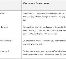 the best renters insurance for pet owners reviewed for 2026