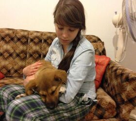 how to comfort your senior dog in their final days, Charlie and me in 2014
