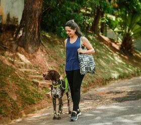 4 Simple Ways to Make Dog Walks More Fun