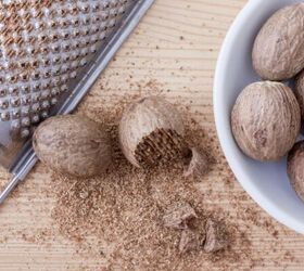 7 fall foods that arent safe for your pup