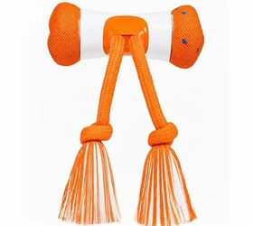 Pet Parents Can Now Play Smart with Cheerble's Wickedbone Air Toy