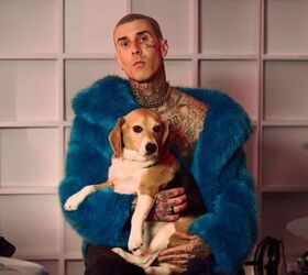Travis Barker Champions Animal Welfare with "Small Steps for Good"
