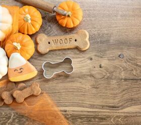 Pumpkin Treats Your Dog Can Actually Eat