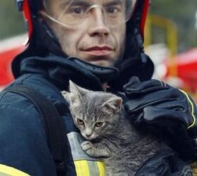 Kitten Stows Away on Fire Truck, Finds Forever Home that Same Day
