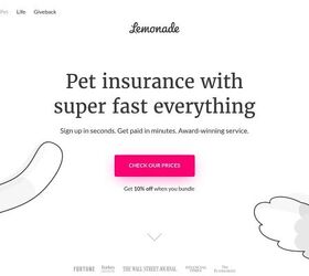 what s the best pet insurance in 2026 10 providers ranked