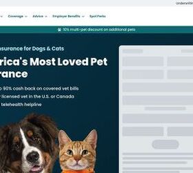 what s the best pet insurance in 2026 10 providers ranked